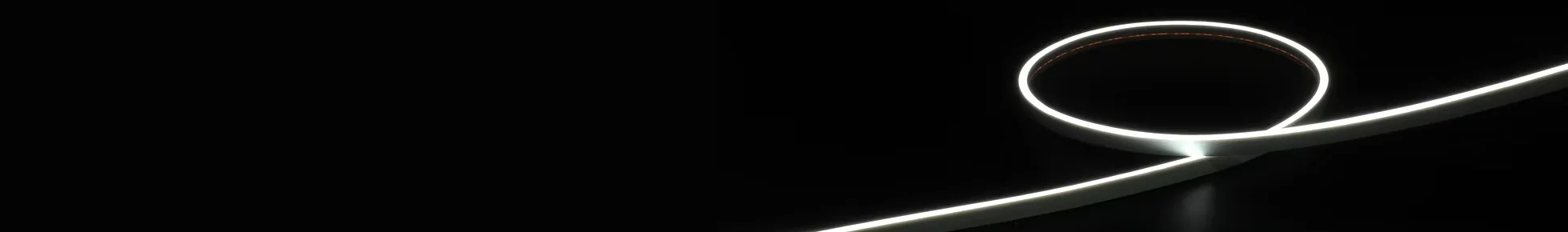LED Neon Flex